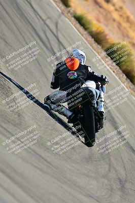 media/Oct-24-2025-2WTD (Fri) [[491f36c2bf]]/C Group/Session 3 (Turn 5)/